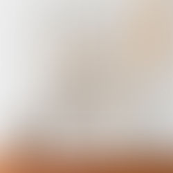 Dieses Bild war nie geplant – und wurde zum Grundstein von ShaevisArt.
