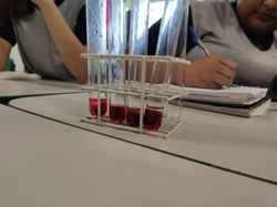 aula de laboratório2