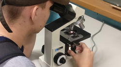 microscopia