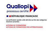 logo-qualiopi_ TIHS.jpeg