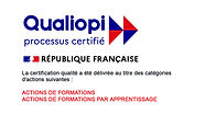 logo-qualiopi_ TIHS.jpeg