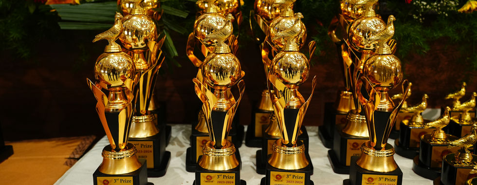champion trophies2