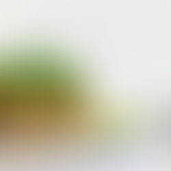 Cauliflower Fried Rice