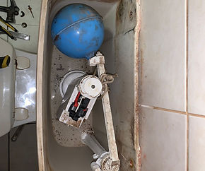 toilet.jpg