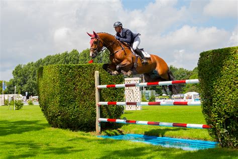 A horse jumping over a red and white striped fence over water with hedges either side