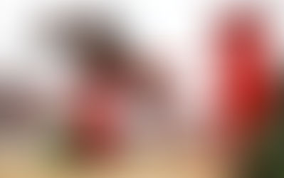 How do horses see the world