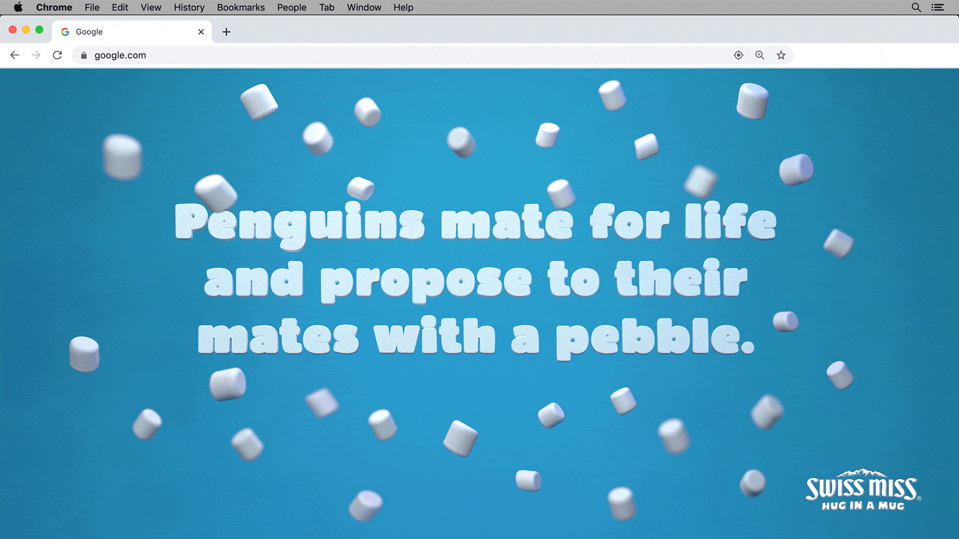 Swiss Miss Google Chrome Extension