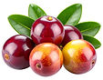 Camu camu laboratoire-AVIE