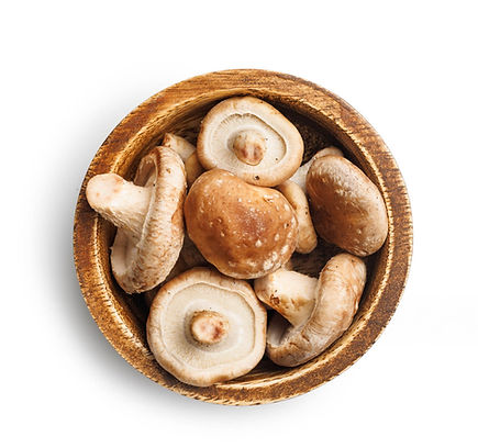 SHIITAKE (1).jpg