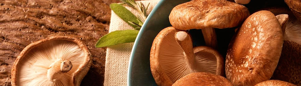 champignon-bienfaits_edited.jpg