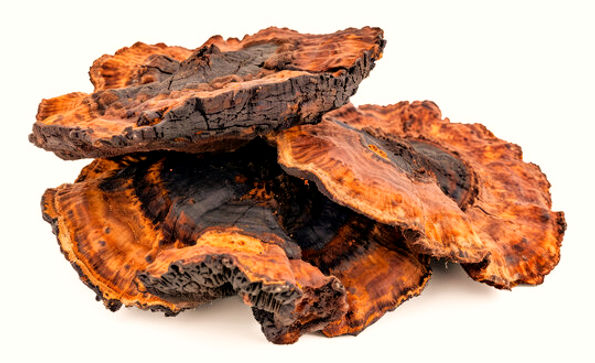 Chaga-Bio_edited.jpg
