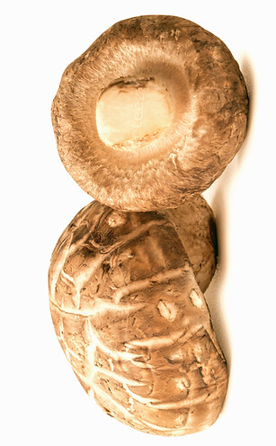 36178812-frais-et-sec-shiitake-champignons-isole-sur-blanc-contexte-avec-coupure-chemin-ch