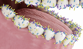teeth_bacteria_clean.png