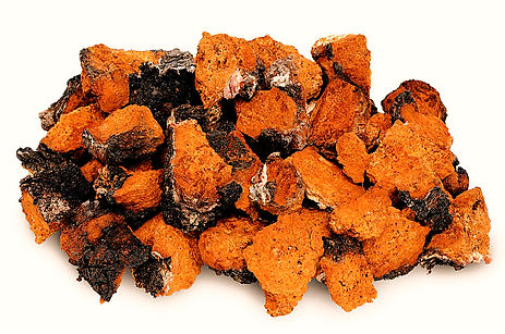 Chaga-_edited.jpg
