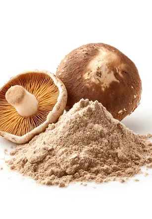 ekstrakt-z-shiitake-510x510.webp