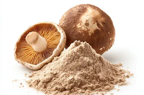 ekstrakt-z-shiitake-510x510.webp