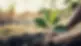 iStock-1201112520.jpeg