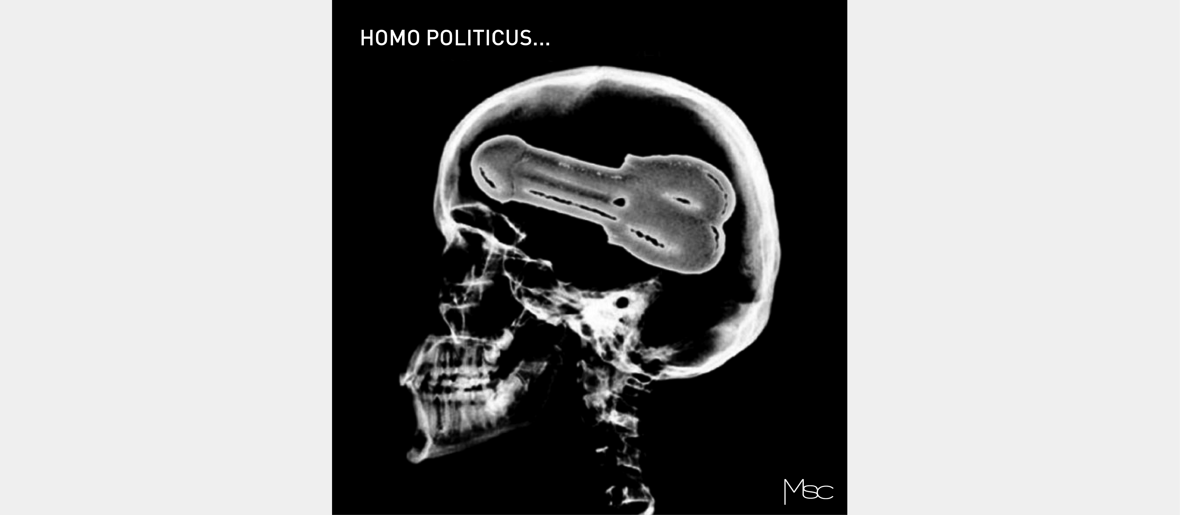Homo Politicus