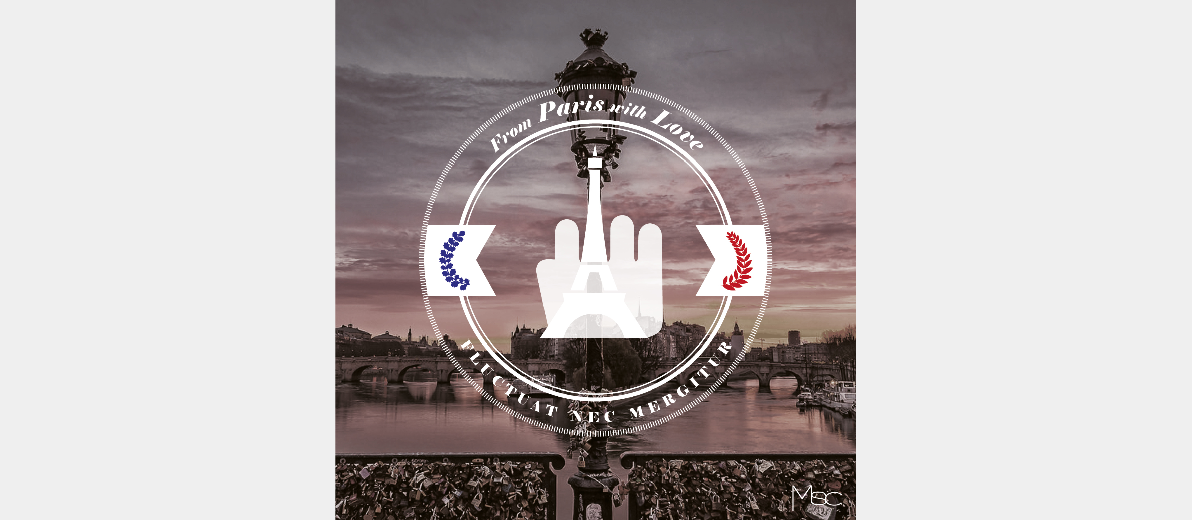 Fluctuat Nec Mergitur