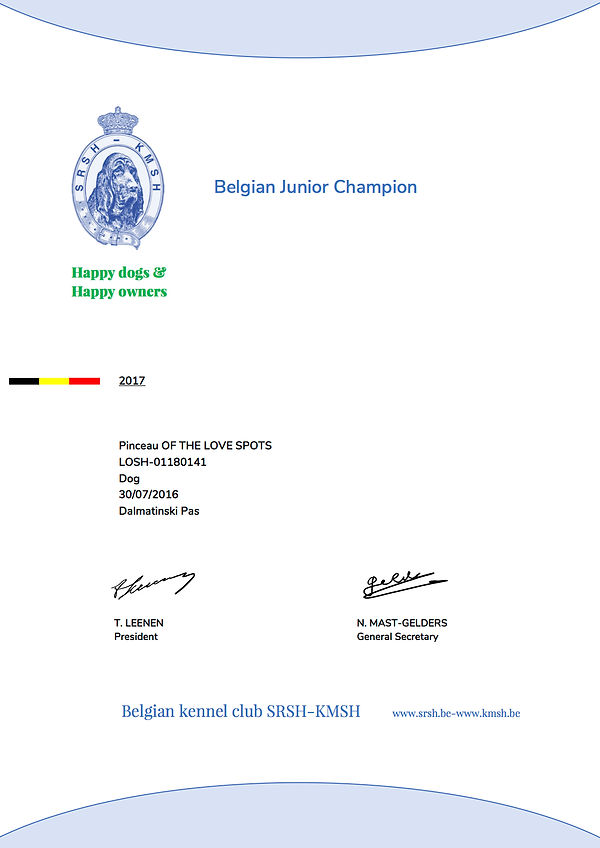Titre de Champion Jeune Pinceau Of The Love Spots