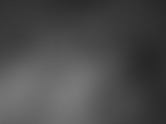 Les bébés de Snow Queen sont nés.