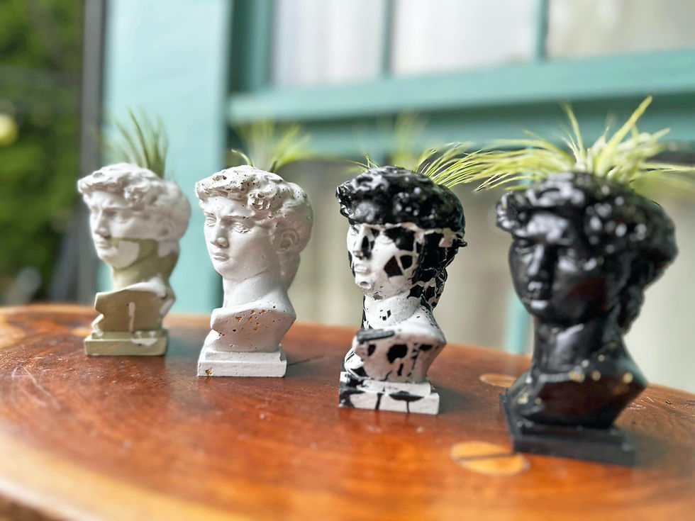 Thumbnail: David Air Plant & Incense Holder