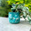 Thumbnail: Boobie Planter