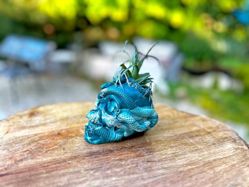 Thumbnail: Snake Skull Planter