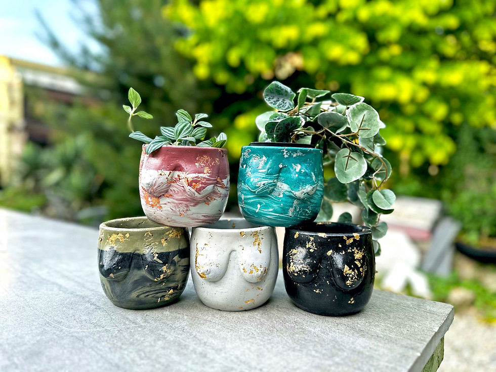 Boobie Planter