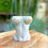 Thumbnail: Becky Planter