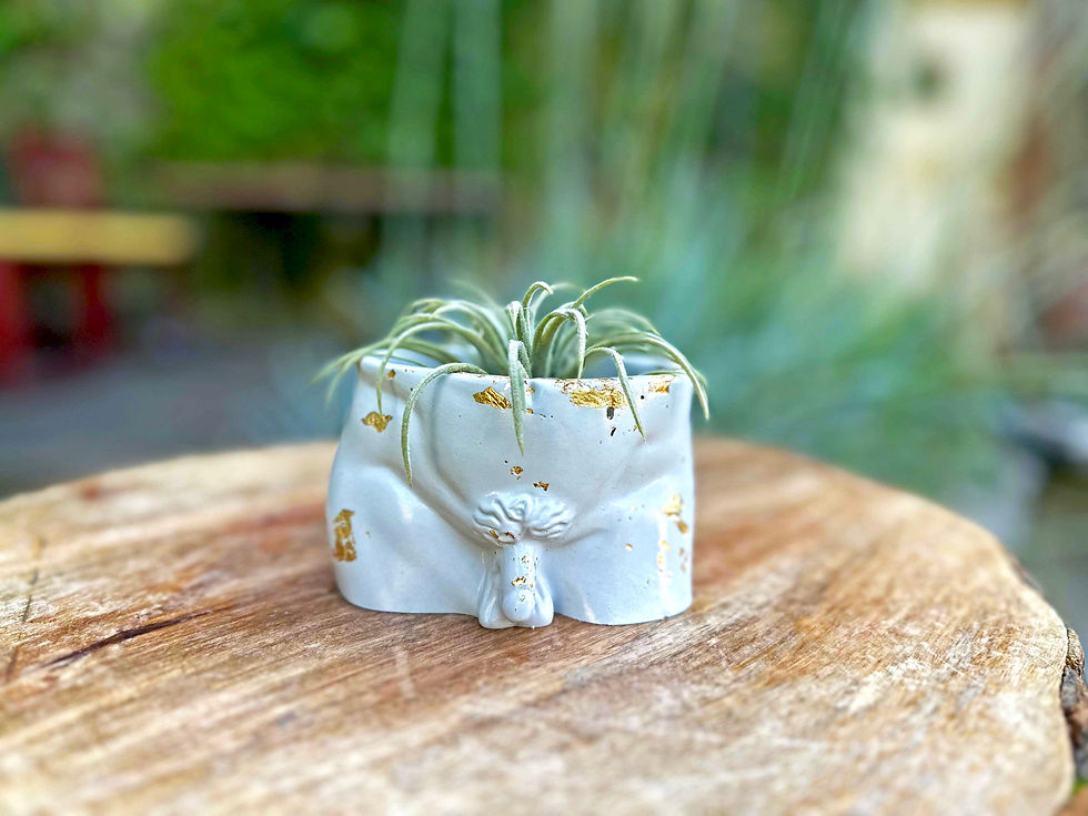 Thumbnail: Richard Planter