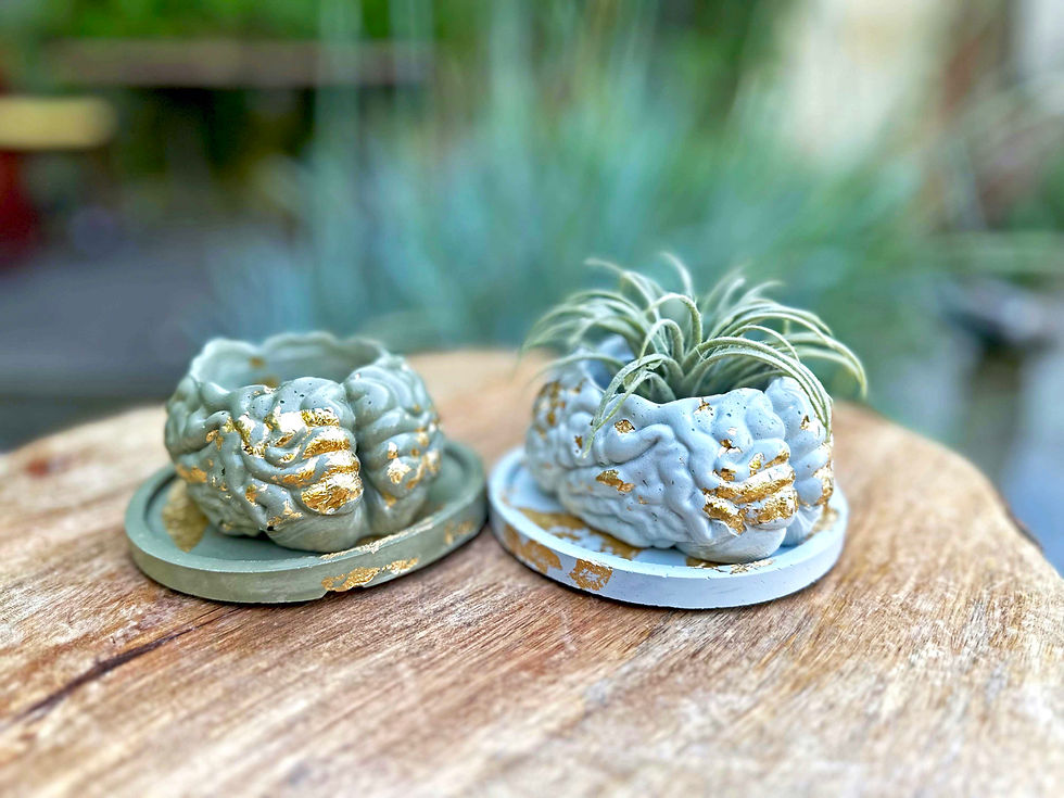 Thumbnail: Brain Planters