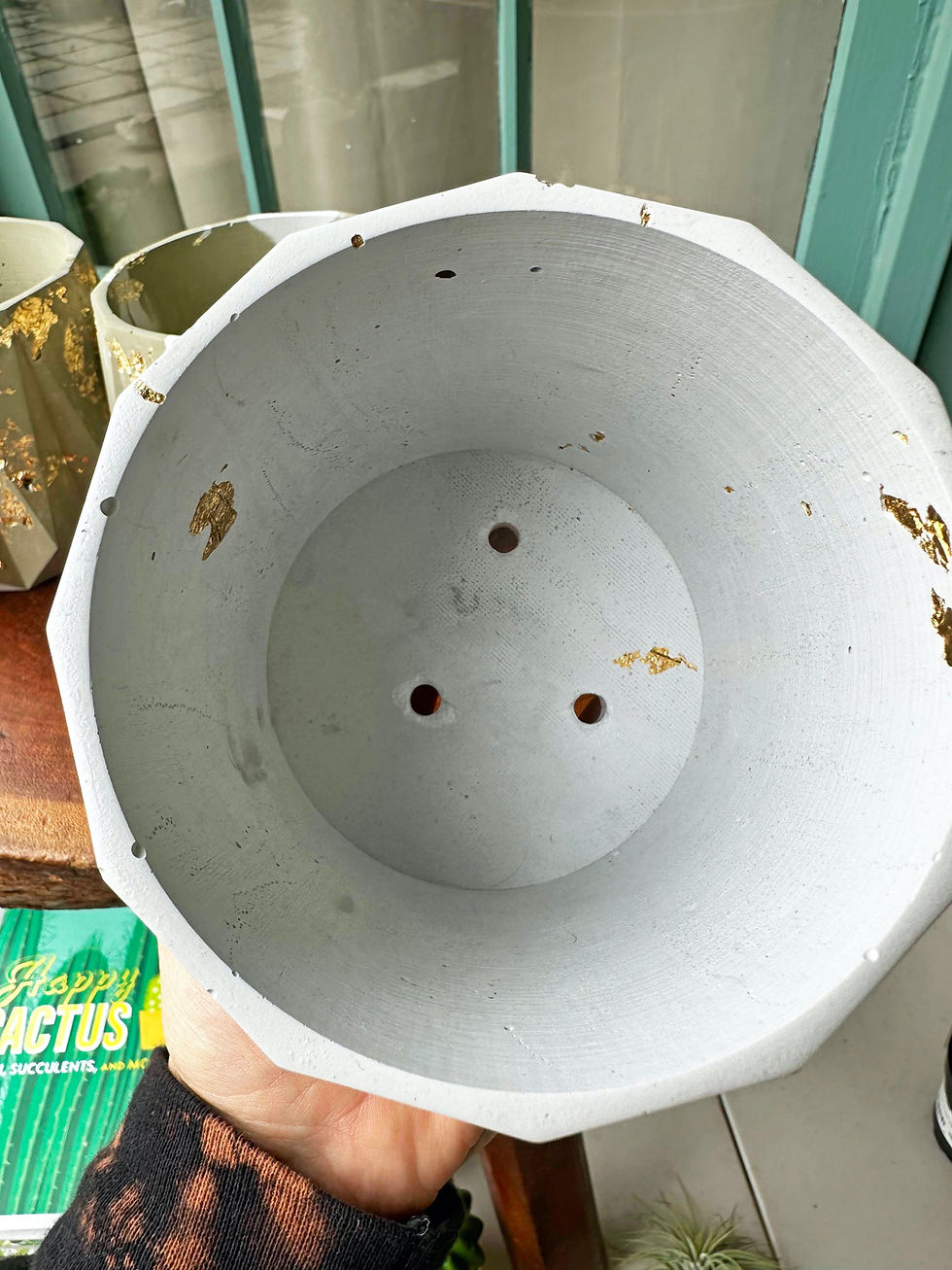 Thumbnail: Geometric Planters