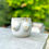 Thumbnail: Boobie Planter
