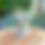 Thumbnail: Becky Planter