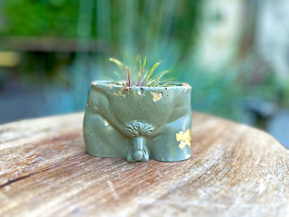 Thumbnail: Richard Planter