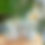 Thumbnail: Becky Planter