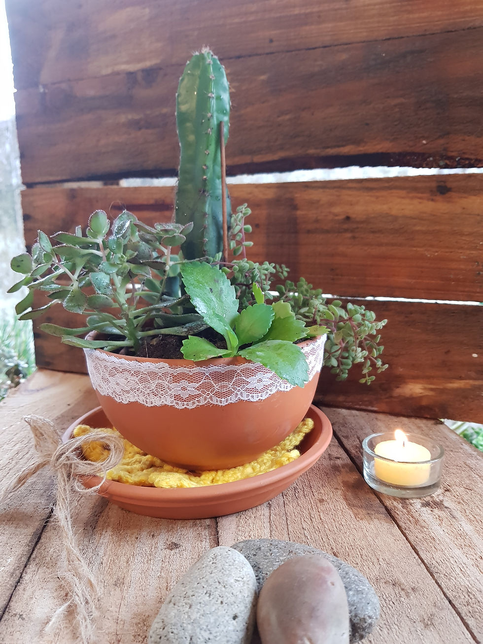 Miniatura: Centro con bowl de barro N18