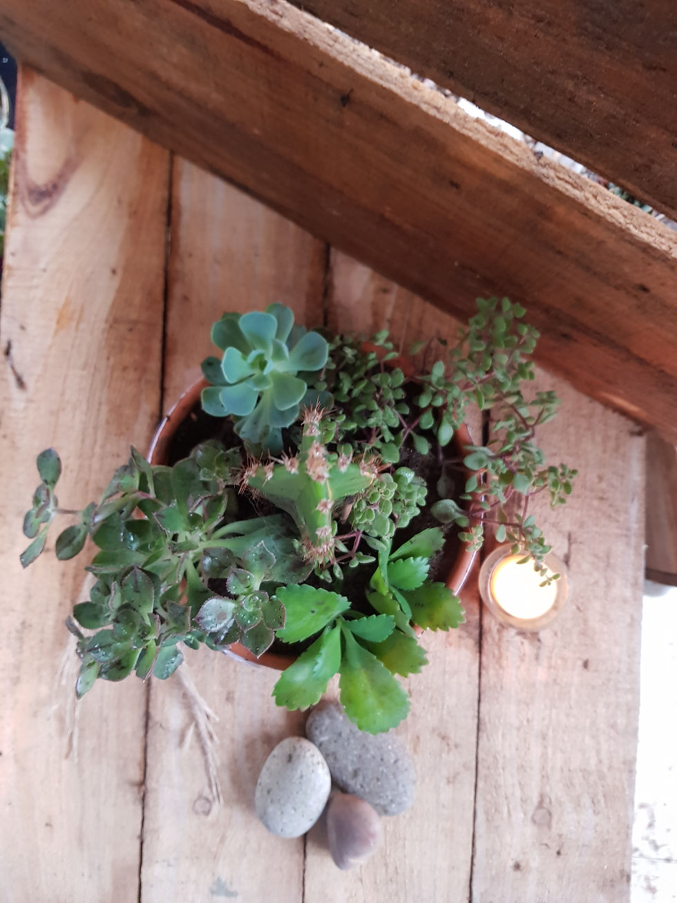 Miniatura: Centro con bowl de barro N18