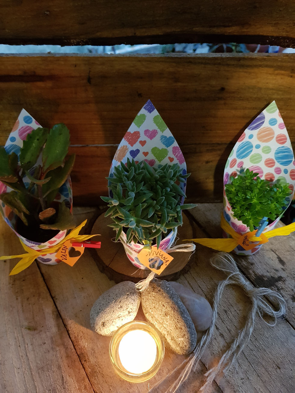 Miniatura: Macetas en cucurucho estampado
