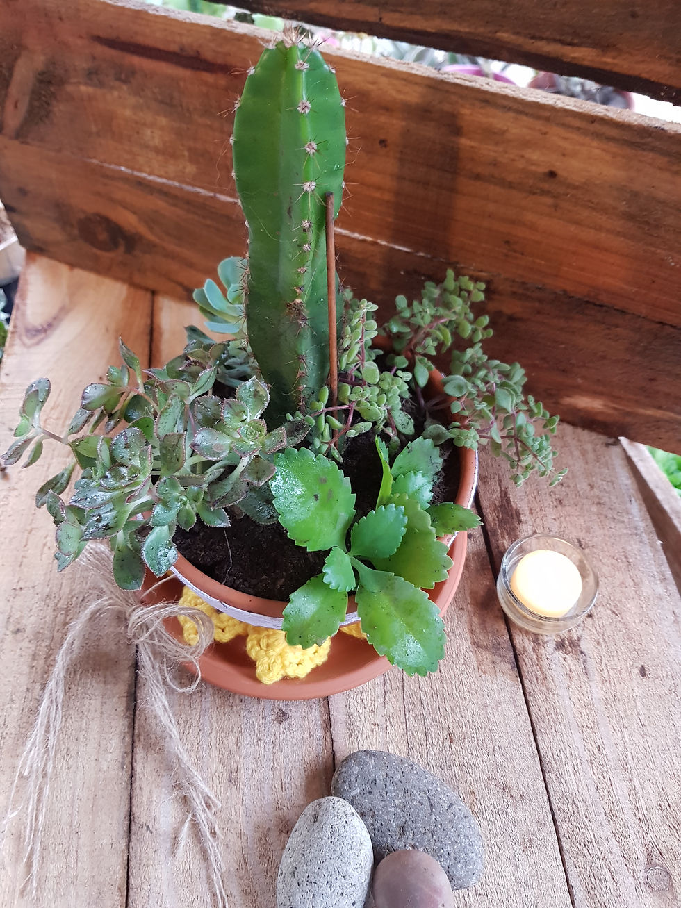 Miniatura: Centro con bowl de barro N18