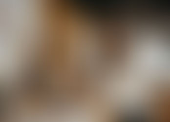 The Q&A about my illustration career