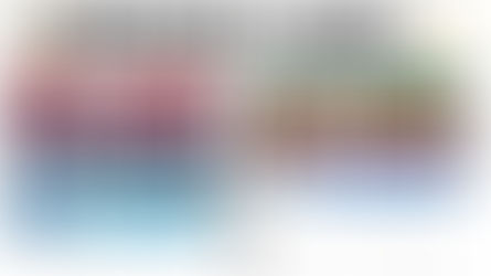 Portugal: LPFA XV Team Grades