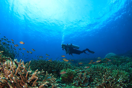 Underwater Scuba Diver