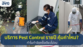 บริการ Pest Control รายปี คุ้มค่าไหม? ทำไมกำจัดครั้งเดียวไม่จบ | Master Bug
