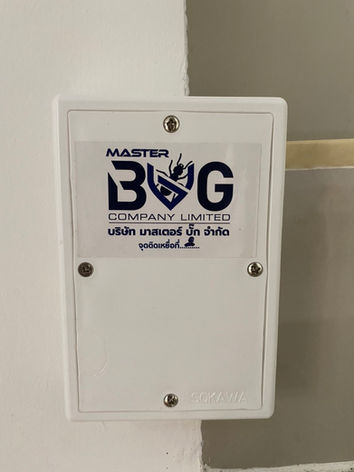 S__17555489.jpg