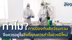 ทำไม? การป้องกันสัตว์รบกวนจึงควรอยู่ในสิ่งที่คุณควรทำในช่วงปีใหม่