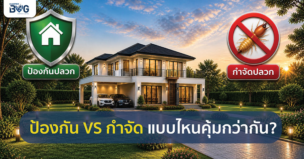 ป้องกันVSกำจัด ปลวกแบบไหนคุ้มกว่ากัน