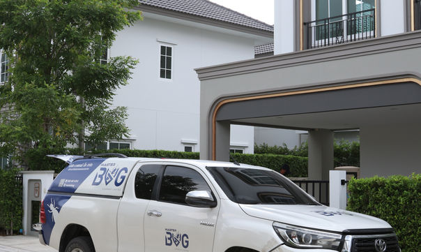 กำจัดปลวก