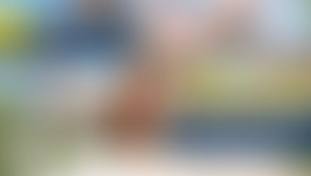 6 ข้อควรรู้เกี่ยวกับแมลงสาบ